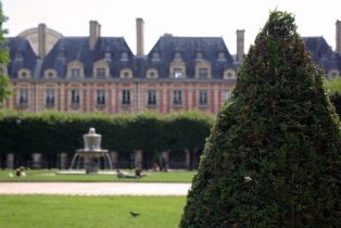 placedesvosges-from-pdpms.JPG
