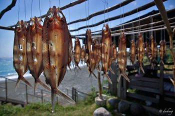 Flying fish hung up to dry on Orchid Island. Photo by Grillmagic. CC: BY-NC-SA)