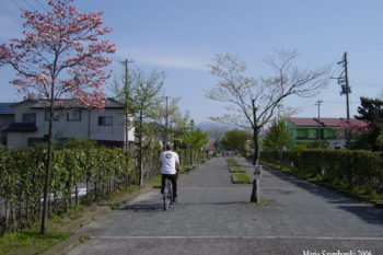 cycle path Niigataken Japan